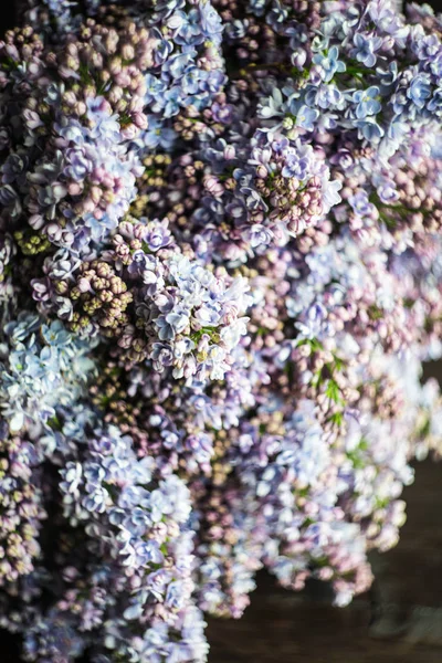 Lilac flowers in a bunch — Stock Photo, Image