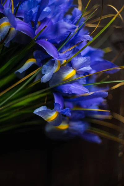 Bellissimi Fiori Iris Blu Bouquet — Foto Stock