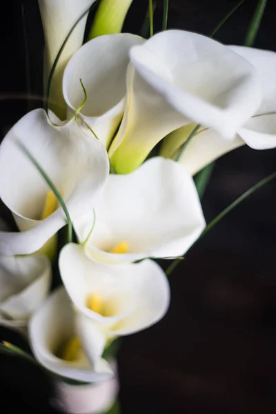 白色马蹄莲利莱斯在新娘花束 — 图库照片