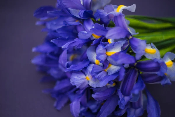 Krásný modrý iris květiny v kytici — Stock fotografie