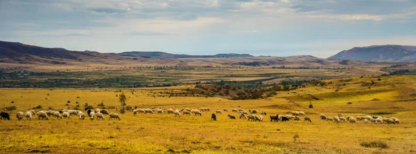 Осенний пейзаж Кахетинской области — стоковое фото