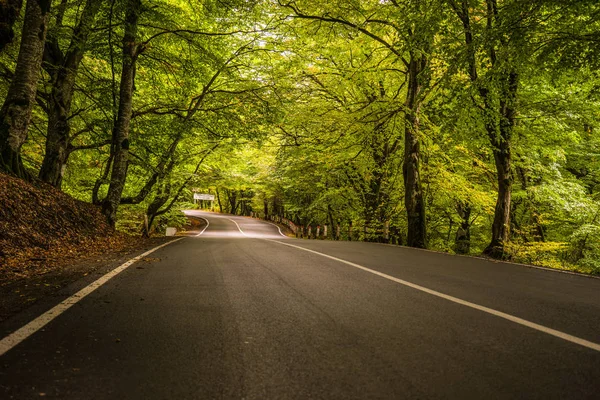 Paisagem outonal da região de Kakheti — Fotografia de Stock