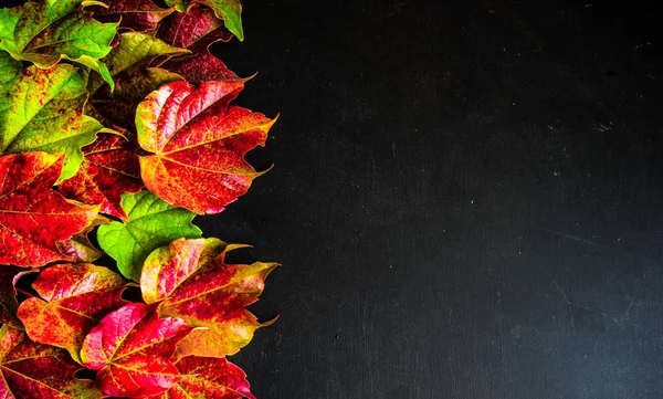 Conceito outonal wih folhas vermelhas brilhantes — Fotografia de Stock
