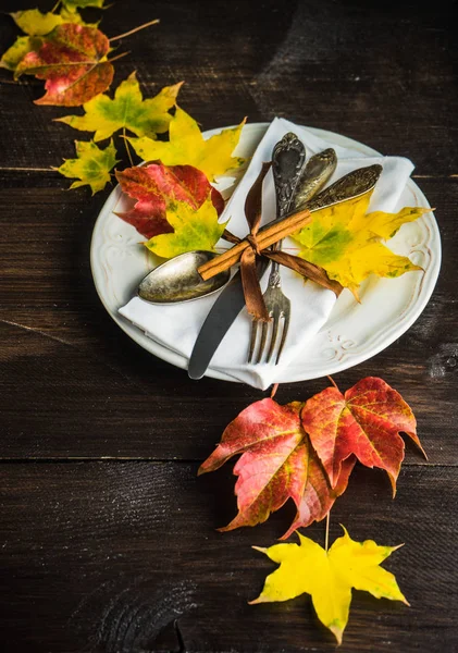 黄葉と紅葉のコンセプト — ストック写真