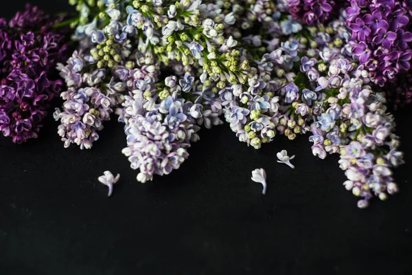 Primavera concetto di fiore lilla — Foto Stock