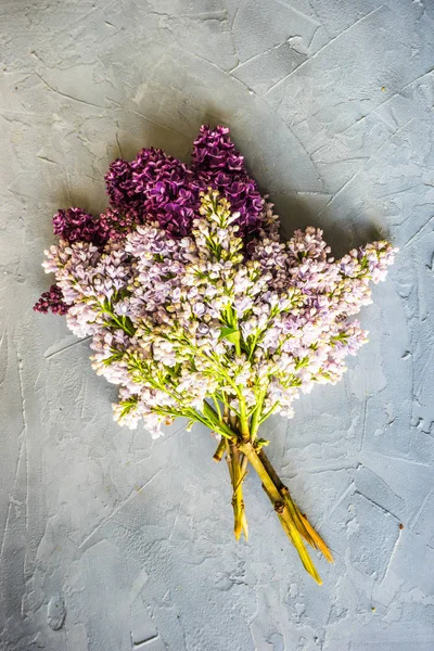 Primavera concetto di fiore lilla — Foto Stock