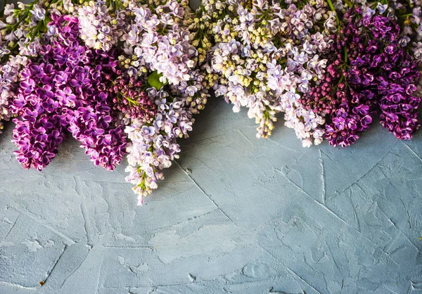 Primavera concetto di fiore lilla — Foto Stock