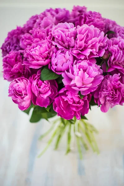 Sommerblumen-Konzept mit Pfingstrose — Stockfoto