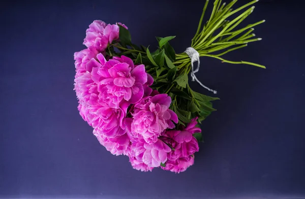 Sommar blommor koncept med pion — Stockfoto