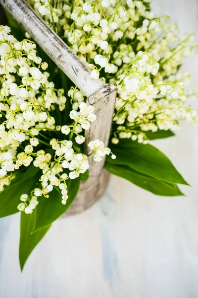 Spring floral concept — Stock Photo, Image
