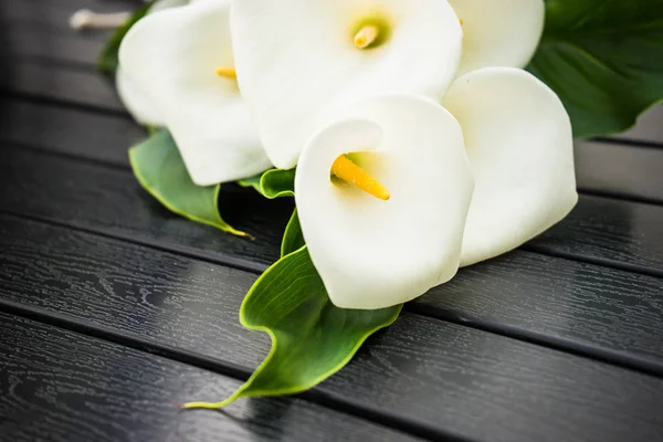 Weiße Calla-Lilien im Brautstrauß — Stockfoto