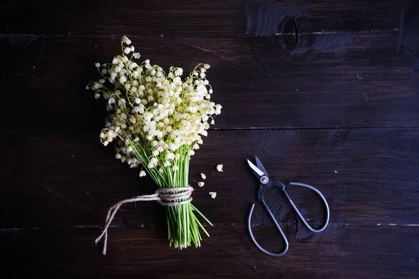 Frühjahrskonzept — Stockfoto