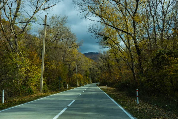 秋の道路景観 — ストック写真