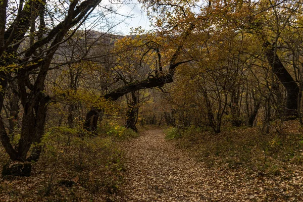 Herbstliche Reiselandschaft — Stockfoto