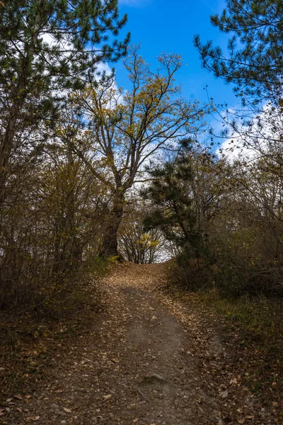 Herbstliche Reiselandschaft — Stockfoto