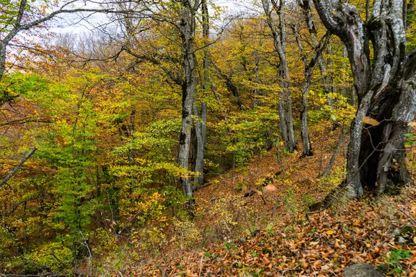 Autumnal travel landscape — Stock Photo, Image