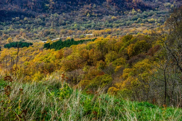 秋の旅行風景 — ストック写真