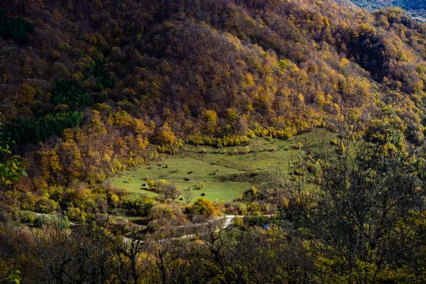 Paisaje de viaje otoñal —  Fotos de Stock