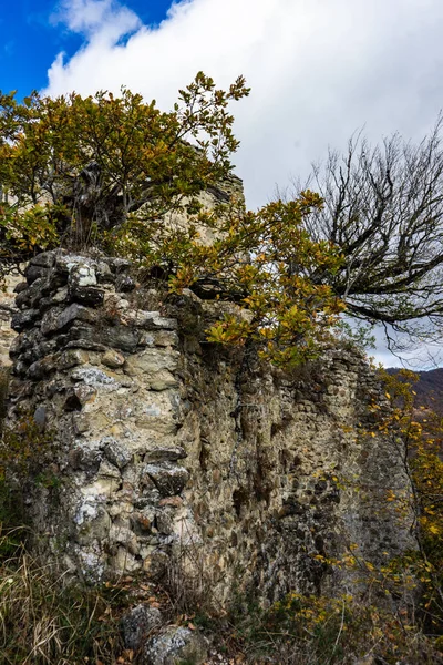 Reizen in de herfst — Stockfoto