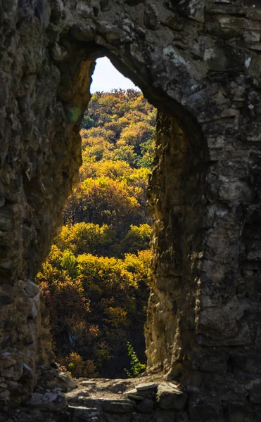Gruzínská podzimní krajina — Stock fotografie