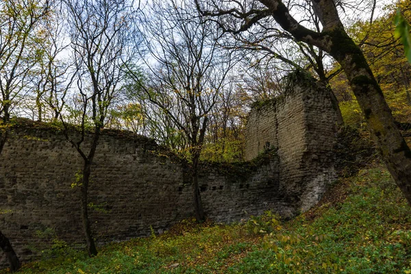 Gruziński jesienny krajobraz — Zdjęcie stockowe