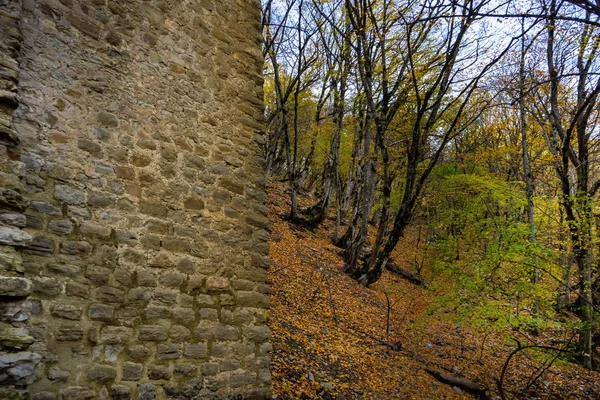 Georgian autumnal landscape — Stock Photo, Image