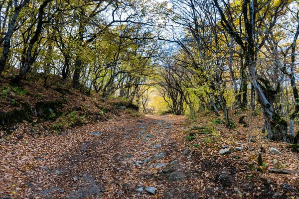 Herbstliche georgische Landschaft — Stockfoto