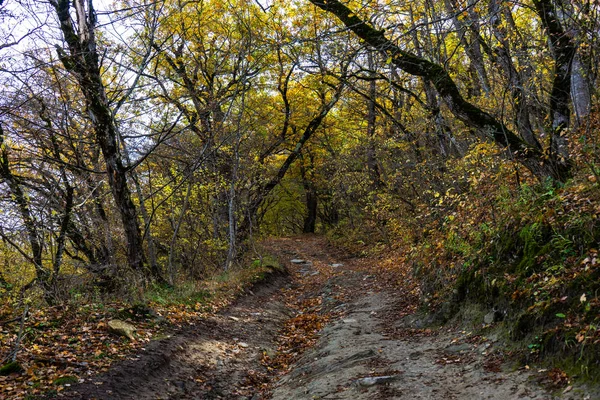 Herbstliche georgische Landschaft — Stockfoto