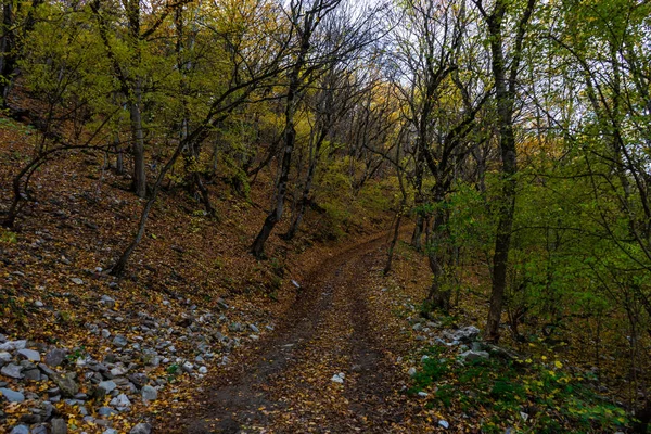 格鲁吉亚秋季风景 — 图库照片
