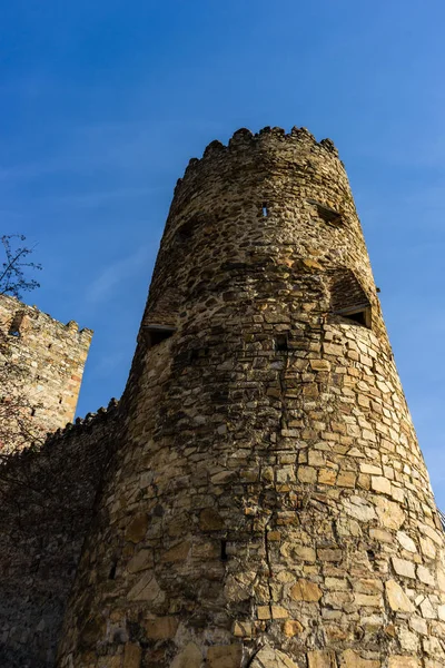 Famoso castillo de Ananuri en Georgia — Foto de Stock