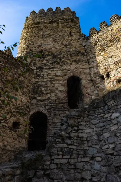 Famoso castillo de Ananuri en Georgia — Foto de Stock