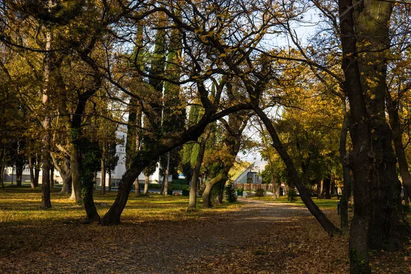 Beroemd kasteel Mukhrani — Stockfoto