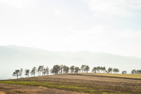 Minimalistic landscpae σε ομιχλώδες πρωινό — Φωτογραφία Αρχείου