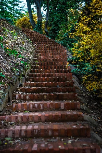 Autumnal path in a park — Stok Foto