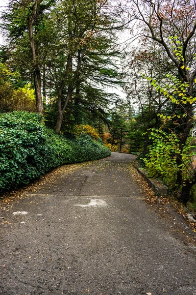 Autumnal path in a park — Stock Photo, Image