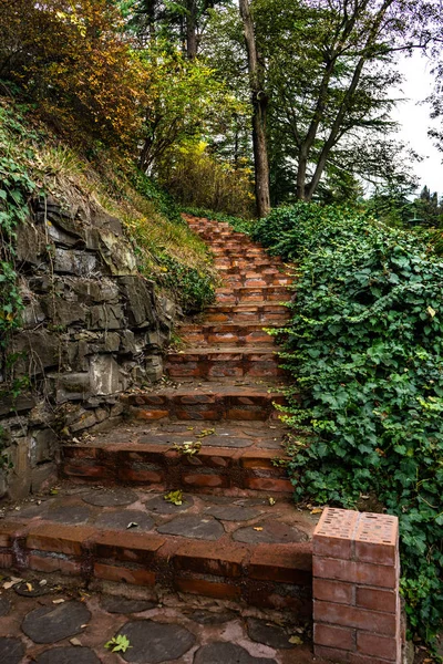 Autumnal path in a park — Stok Foto