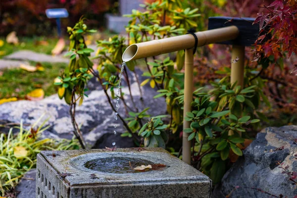 日本秋日花园 — 图库照片