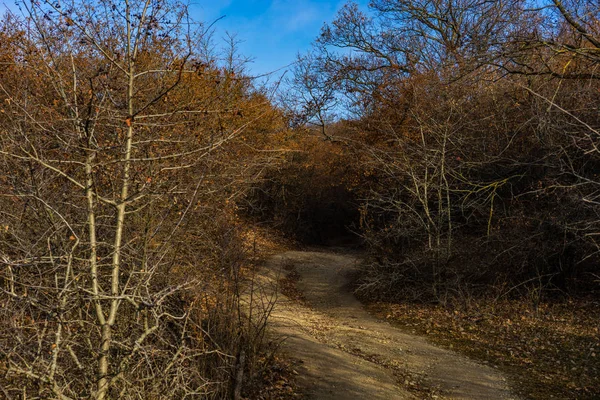 Birtvisi schlucht in georgien — Stockfoto