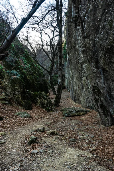 Birtvisi Canyon Grúziában — Stock Fotó