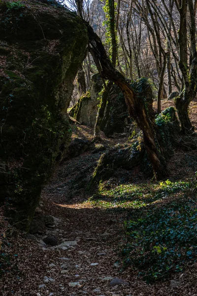 Birtvisi Canyon Grúziában — Stock Fotó