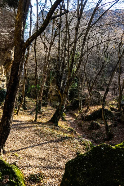 Birtvisi Canyon Grúziában — Stock Fotó