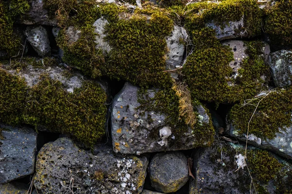 Naturhintergrund mit Stein und Moos — Stockfoto