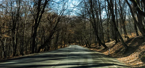 Berühmte Landschaft Des Gombori Passes Kaukasus Gebirge Der Weg Von — Stockfoto