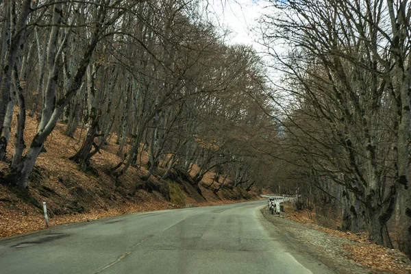 Beroemd Landschap Van Gombori Passeren Kaukasus Berg Weg Van Tbilisi — Stockfoto