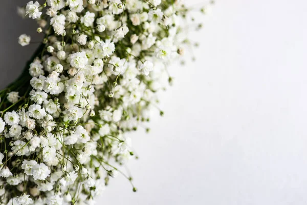 Piękne Białe Kwiaty Gypsophila Paniculata Roślin Koncepcji Ślubnej — Zdjęcie stockowe
