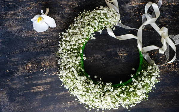 Hermosas Flores Blancas Planta Gypsophila Paniculata Concepto Nupcial —  Fotos de Stock