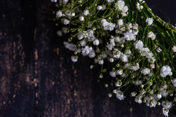 Красивые Белые Цветы Растения Gyposophila Paniculata Свадебной Концепции — стоковое фото