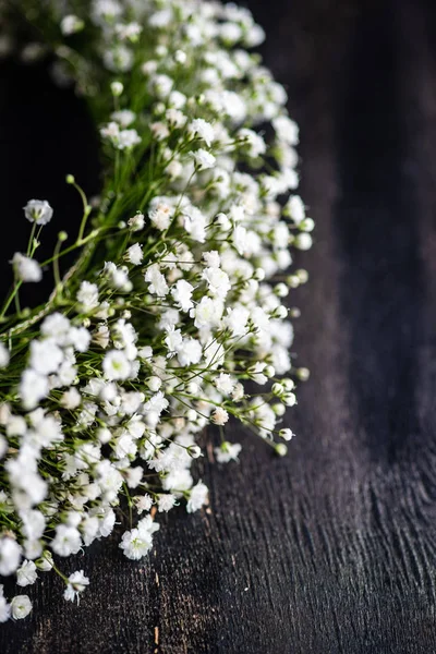 Krásné Bílé Květy Rostliny Gypsophila Paniculata Svatební Koncepci — Stock fotografie