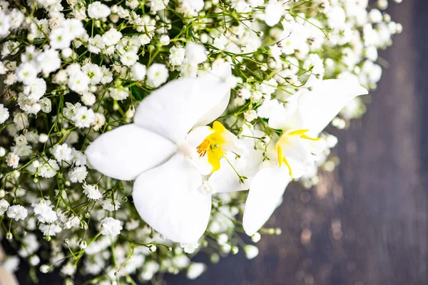 Bellissimi Fiori Bianchi Della Pianta Gypsophila Paniculata Nel Concetto Sposa — Foto Stock