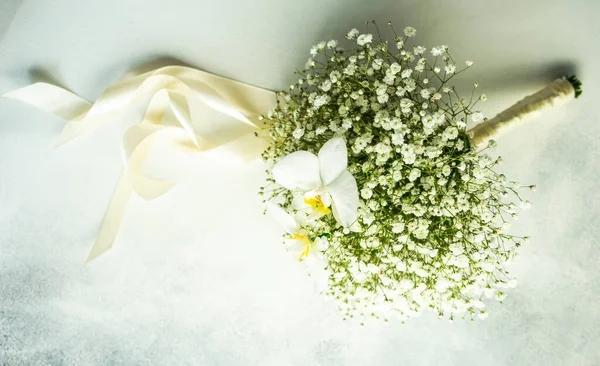 从新婚夫妇观念看石榴属植物美丽的白花 — 图库照片
